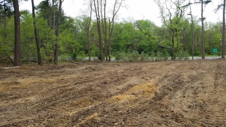 land clearing landscape