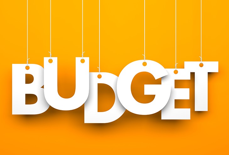 budget graphic